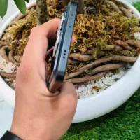 POCO X6 PRO 512/12|موبایل|کرج, گوهردشت|دیوار