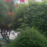 انجام کلیه کارهای خدماتی و نظافتی