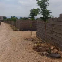 پلاک ۱۰۰۰ متری باغی سر دونبش کوچه دو راهی کودیان|فروش زمین و ملک کلنگی|شیراز, کودیان|دیوار