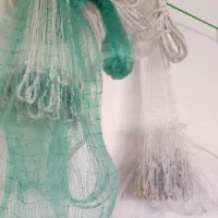 تور  ماهیگیری