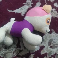 عروسک بعلت نیاز مالی