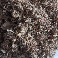 دامیانا|گل و گیاه طبیعی|کرج, دهقان ویلا|دیوار