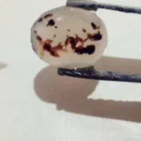 عقیق شجراسمی حسین محمد