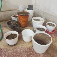 فروش تعدادی لوازم خانگی|گل و گیاه طبیعی|شیراز, چوگیاه‎|دیوار