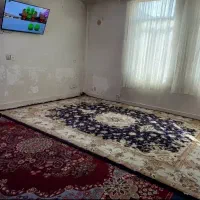 ۵۳ متری/آماده تخلیه/بمب سرمایه گذاری