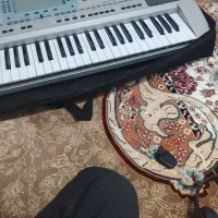 ارگ  پیا  50