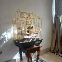 قفس سایز بزرگ