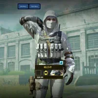 چیت بدون بن تظمینی