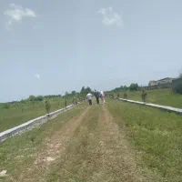 فروش فوری زمین ۱۸۰ متر/مازندران
