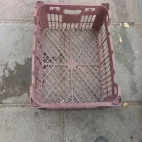 سبد میوه