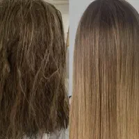 مدل پروتئین گرم فقط هزینه مواد گرفته میشود