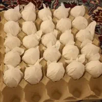 فروش تخم نطفه دار با ضمانت فروش ۸۰ درصد