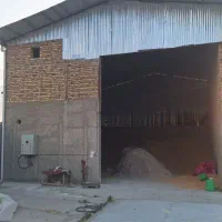 گاوداری یک هکتاری با مجوز چاه و سند تک برگ|فروش دفتر صنعتی، کشاورزی، تجاری|نظرآباد, نجم آباد|دیوار