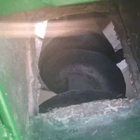 آسیاب بالابر میکسر۳ تن مناسب مرغداری دامداری|ماشینآلات صنعتی|نهاوند, |دیوار