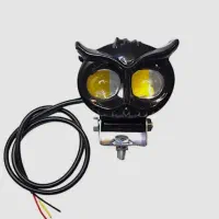 چراغ جغدی پر نور