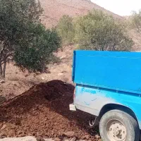 کود دامی|خدمات باغبانی و درختکاری|رشت, پارک شهر|دیوار