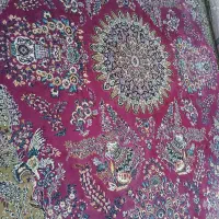 فرش ۱۲ متری|فرش|مرند, |دیوار