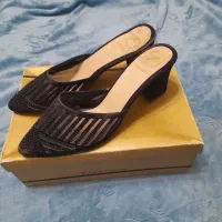 تعدادی صندل مجلسی