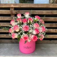 دسته گل رز هلندی شاخه ای فقط ۶۰