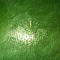 میز نهارخوری|میز و صندلی غذاخوری|گنبد کاووس, |دیوار