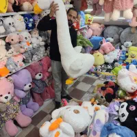 غو بزرگ غاز عروسک|اسباب‌‌بازی|مشهد, سمزقند|دیوار