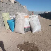 کود حیوانی گوسفند