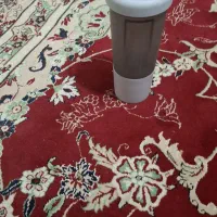 یه عددشیکر تمیز