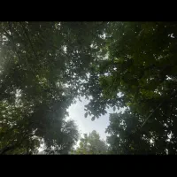 زمین کشاورزی