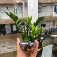 گوشی سامسونگ Galaxy A56 256/8G با گارانتی|موبایل|قم, هفت تیر|دیوار