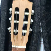 گیتار کلاسیک مالاگا|گیتار، بیس، امپلیفایر|کرج, اصفهانی‌ها|دیوار