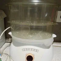 بخار پز همیلتون