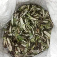 کنگر تازه|خوردنی و آشامیدنی|سرپل ذهاب, |دیوار