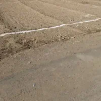 زمین-آینده-دار-برای-سرمایه-گذاری