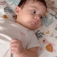 مدارک گم شده نعیم جهانگیری