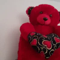 عروسک خرسی بزرگ