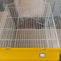 قفس پرنده|لوازم جانبی حیوانات|فردیس, سرحدی|دیوار