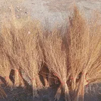 جارو کردی|جاروبرقی، جارو شارژی، بخارشو|کامیاران, |دیوار