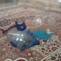 شیشه تزیینی