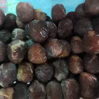 فروش خرمای شکر،گنتار وبریمی