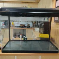 اکواریوم شرکتی