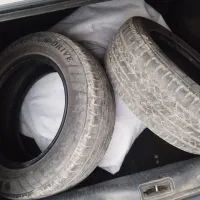 لاستیک پهن بارز