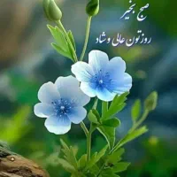 دفتر خدماتی نظافتی نسیم شهر ارا