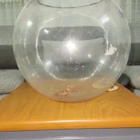 تنگ ماهی ظرف زعفران آجیل