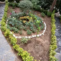 خدمات باغبانی باغچه کاری تعویض خاک باغچه|خدمات باغبانی و درختکاری|تهران, پونک|دیوار