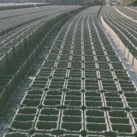 در خواست کارگر ساده
