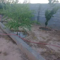 فروش زمین ۵۰۰ متری در روستای زاگ|فروش زمین و ملک کلنگی|مشهد, درزآب|دیوار
