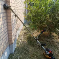 هرس انواع درختان و علف زنی