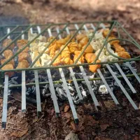 (استند کبابی )|ظروف پخت‌وپز|گرگان, |دیوار