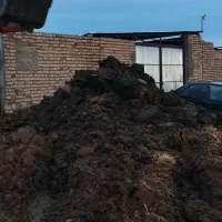 کود گاوی صنعتی