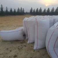 ۲۰۰ کیلو کاه داس درو درجه یک|حیوانات مزرعه|جوانرود, |دیوار